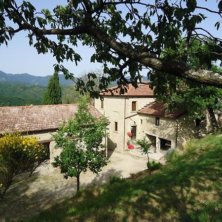 Agriturismo I Monti Di Salecchio Palazzuolo Sul Senio Bagian luar foto
