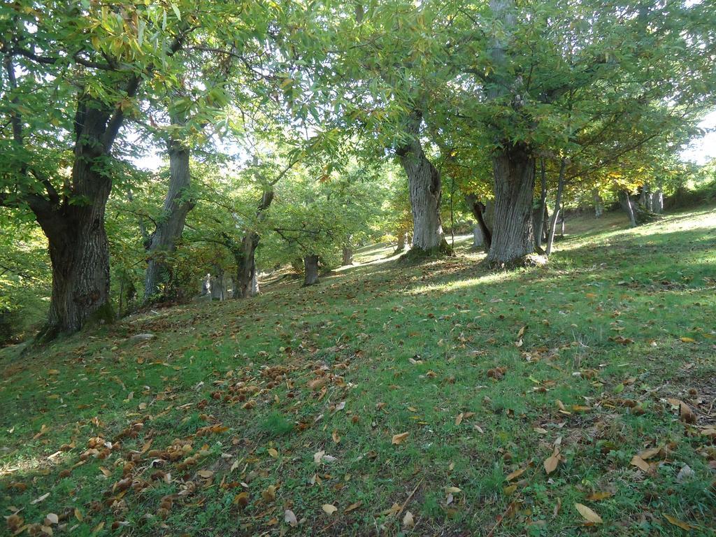 Agriturismo I Monti Di Salecchio Palazzuolo Sul Senio Bagian luar foto