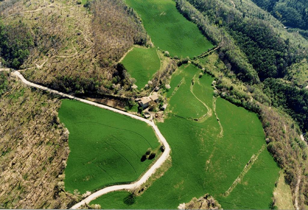 Agriturismo I Monti Di Salecchio Palazzuolo Sul Senio Bagian luar foto