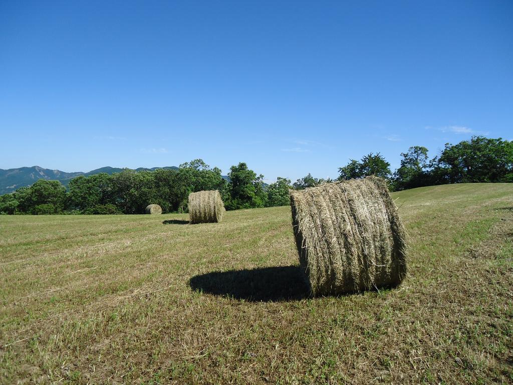 Agriturismo I Monti Di Salecchio Palazzuolo Sul Senio Bagian luar foto